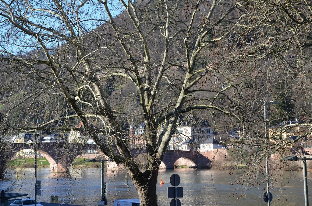 Ferienwohnungen Neckarblick - Heidelberg Altstadt Room photo